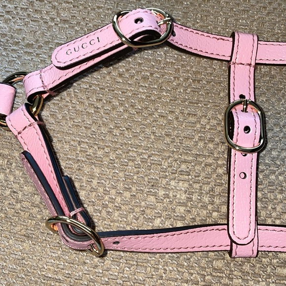 New Gucci dog leash & harness for small size dog - Picture 13 of 16